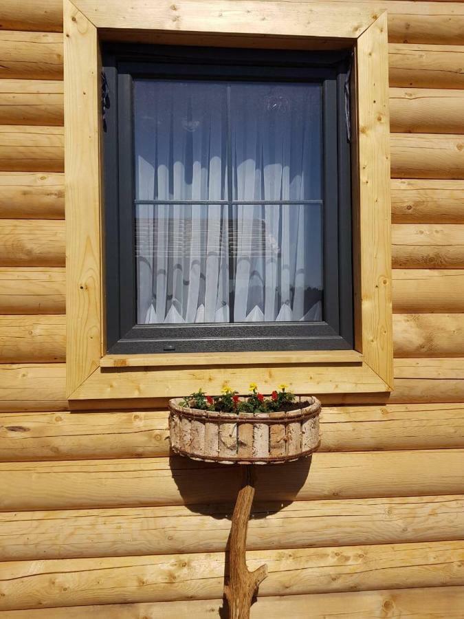 Behappy Woodhouse Villa Jastrzębia Góra Dış mekan fotoğraf